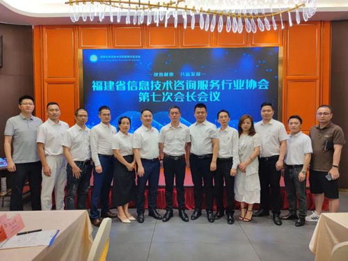 信息技術(shù)咨詢服務(wù) 陳維芳會(huì)長(zhǎng)新春致辭，展望行業(yè)未來(lái)